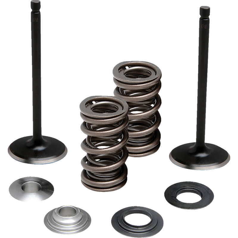 Moose Offroad Valve And Spring Kit - 0926-3473 Yamaha Raptor 700 2006-2025