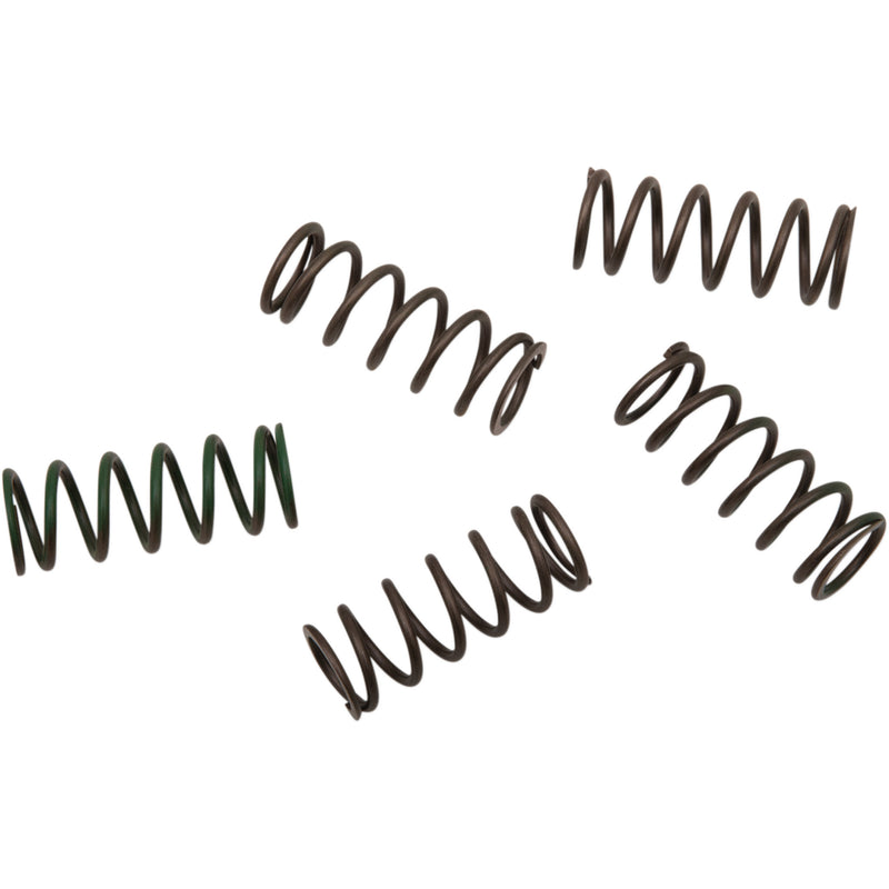 Hinson Racing Spring Kit - CS294-5-0109 For KTM Dirt Bikes 1998-2019 | Suzuki RM 125 1992-2008