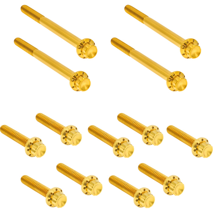 ARLEN NESS 2401-1730 300-928 Bolt Kit - Primary Cover - Titanium - 12-Point - FLT - Gold