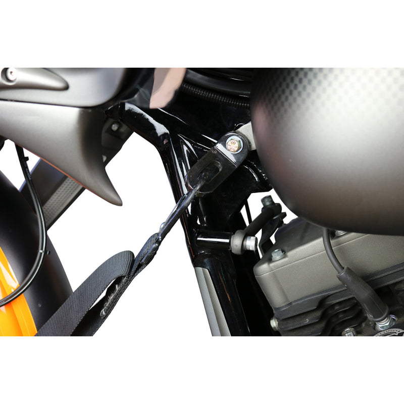 PAUL YAFFE BAGGER NATION 3920-0430 PYO:TDB Touchless Tie-Down System - Touchless Tie-Down Ancho