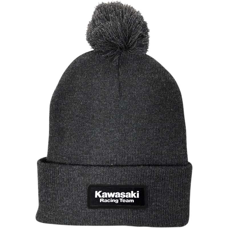 FACTORY EFFEX 2501-3266 23-86102 Beanie — , Charcoal Kawasaki Pom Beanie - Charcoal