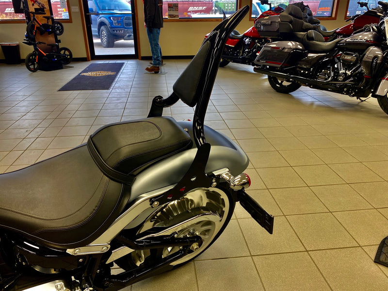 Breakout & Fatboy Excalibur Detachable Sissybar / Backrest