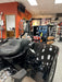 Road Glide 3 & Freewheeler Excalibur Sissybar