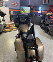 Excalibur Detachable Sissybar / Backrest