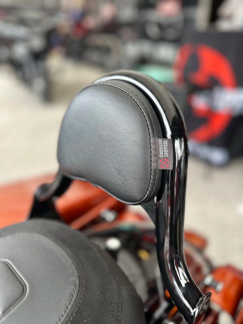 HALOW backrest/sissybar