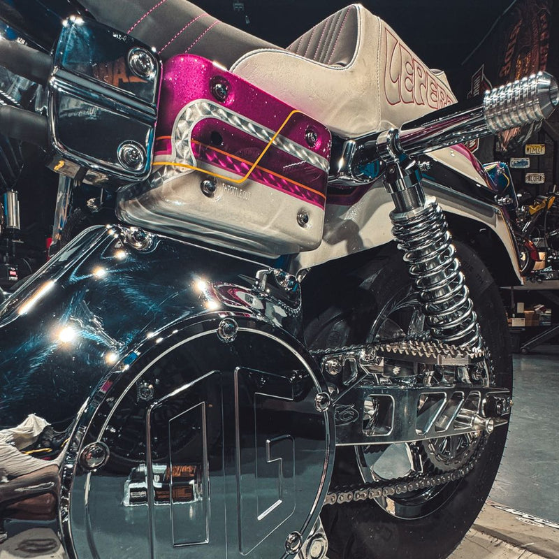 OG Dyna Rear Shock Sliders