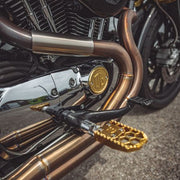 OG  Evo's and Sportster Points Cover