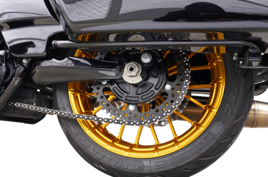 ARLEN NESS 1210-2803 300-203 Chain Drive Conversion Kit Chain Drive Kit - 57 Tooth - Black/Natural