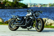 Kuryakyn 6708 Dillinger Handguards Silver - User 3