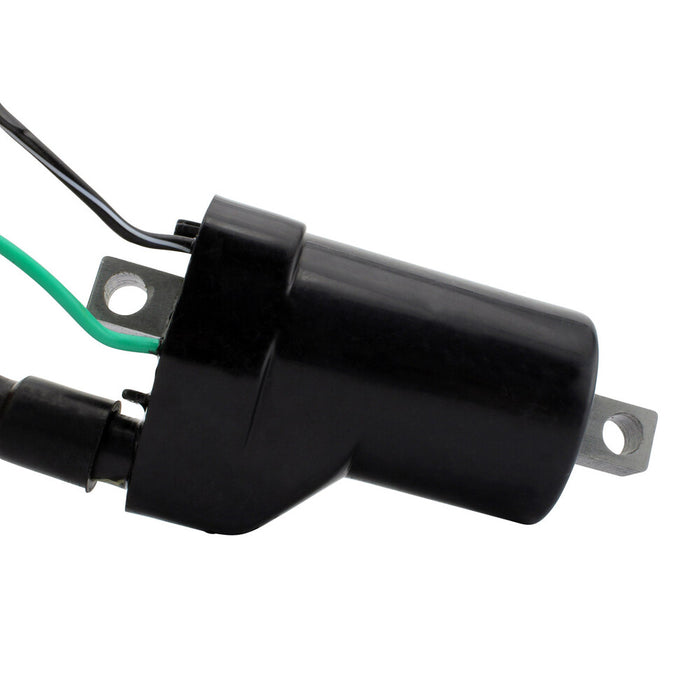 Rm Stator 97-0054 RM06016 EXTERNAL IGNITION COIL W/SPARK PLUG CAP