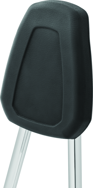 Kuryakyn 6581 Sissy Bar For Indian Scout Chrome - User 3