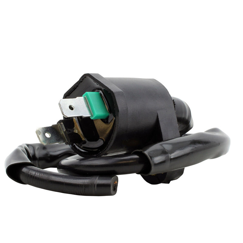 Rm Stator 97-0055 RM06025 EXTERNAL IGNITION COIL