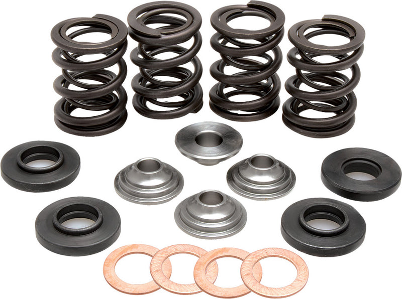 Kpmi 191-25001 96-96000 RACING VALVE SPRING KIT