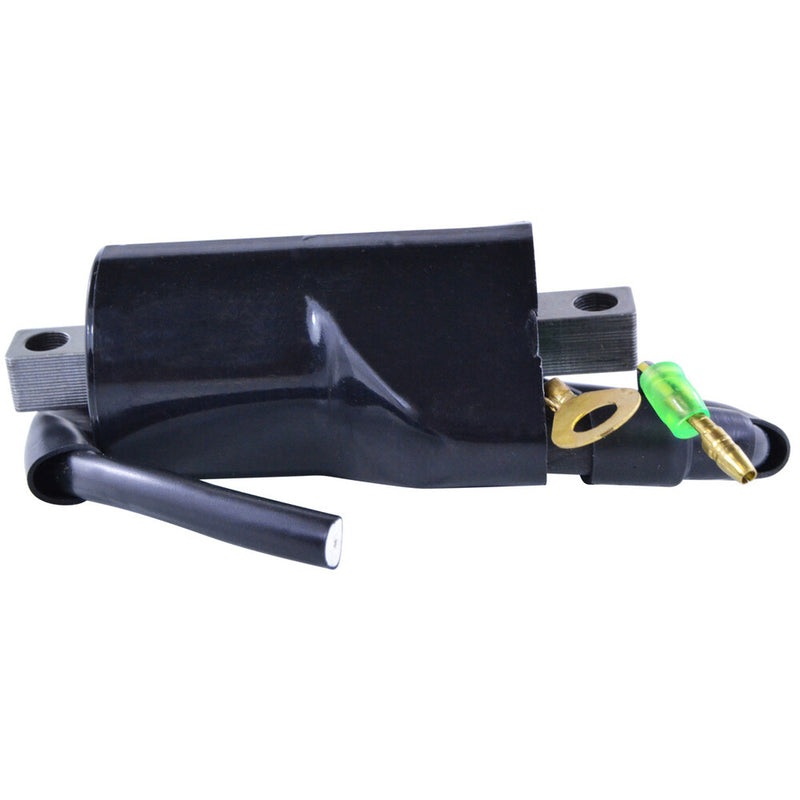 Rm Stator 97-0060 RM06056 EXTERNAL IGNITION COIL