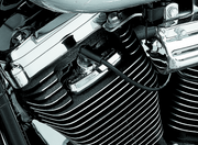 Kuryakyn 8315 Spark Plug & Head Bolt Covers Evolution Motors & 86-03 XL Models - User 1