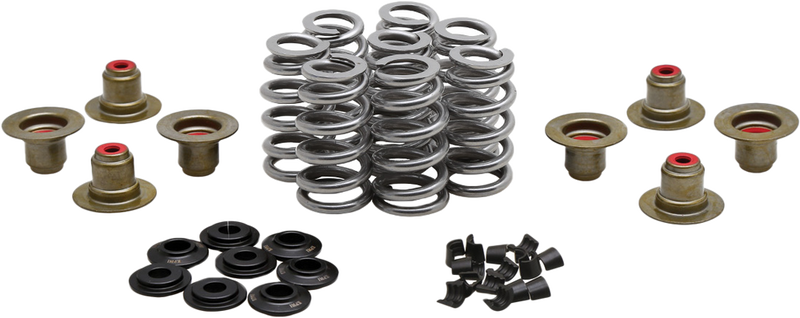 Kpmi 191-27027S 20-24400 BEEHIVE VALVE SPRING KIT .640 LIFT M8`17-24 NON VVT