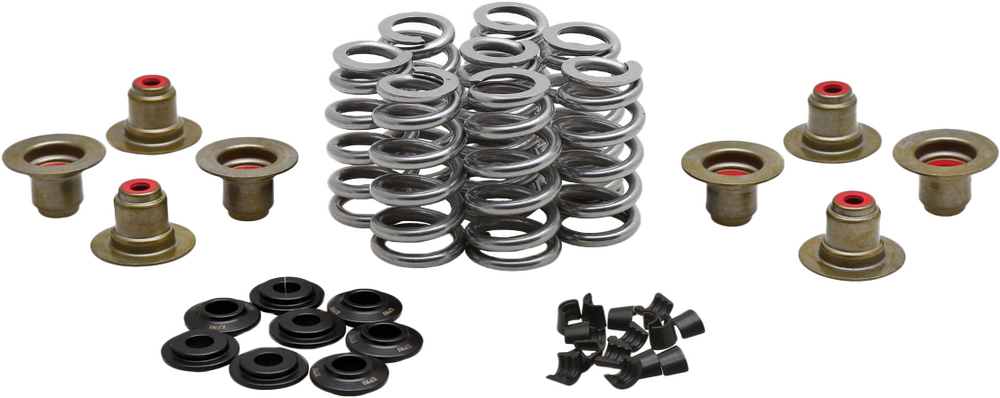 Kpmi 191-27027S 20-24400 BEEHIVE VALVE SPRING KIT .640 LIFT M8`17-24 NON VVT