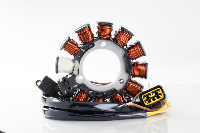 Rick's Motorsport Electric 27-21556 21-556 STATOR