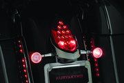 Kuryakyn 3128 Rear Turn Signal & License Plate Mount Indian Chrome - User 1