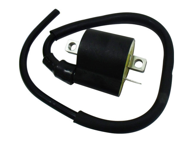 Bronco 183-2020 AT-01318 ATV IGNITION COIL
