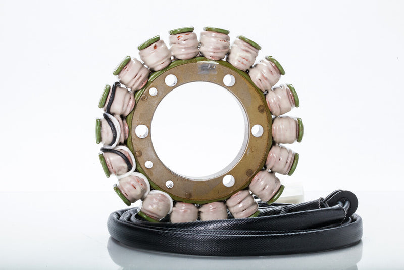 Rick's Motorsport Electric 27-21006 21-006 STATOR