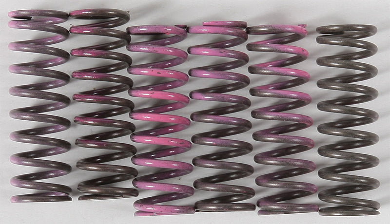 Hinson Racing High Temp Springs 6 Springs - CS330-6-0509 Suzuki RMZ 450 / 450 QuadRacer / 450Z 2005-2022
