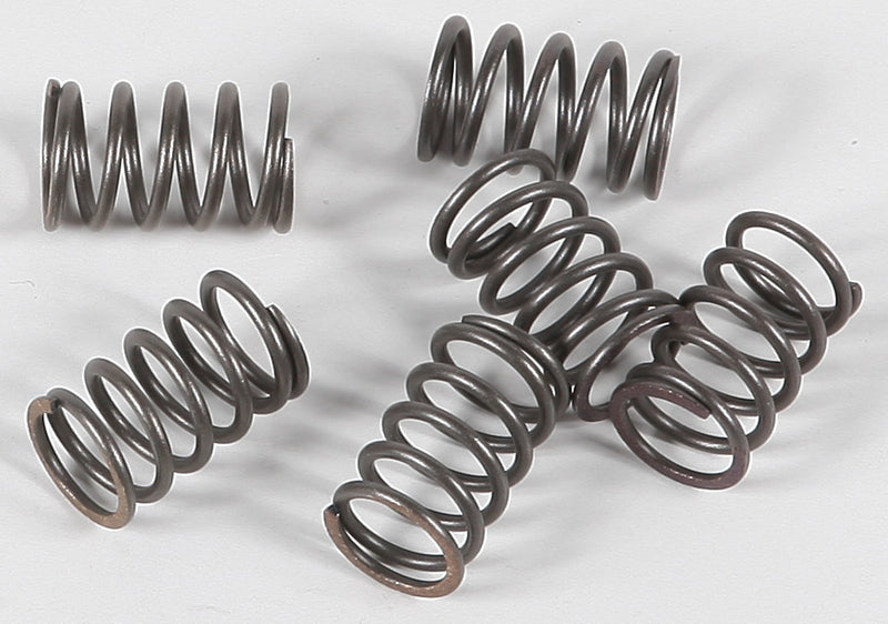 EBC Clutch Springs - CSK18 Suzuki RM 60 2003