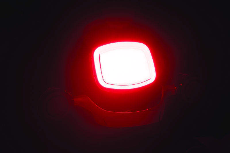 Kuryakyn 2913 Tracer LED Taillight Smoke Lens Without License Light - User 1
