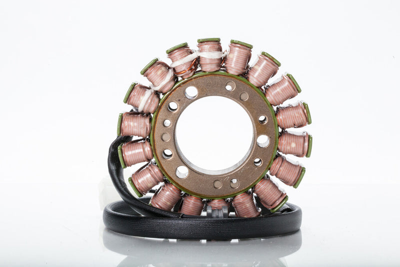 Rick's Motorsport Electric Stator - 21-005 Triumph Tiger / 955 / Speed 2001-2010