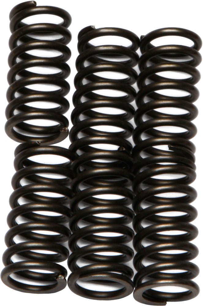 Ebc Clutch Springs - CSK99 Kawasaki Ninja 2003-2004