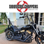 Breakout & Fatboy Excalibur Detachable Sissybar / Backrest