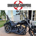 Breakout & Fatboy Excalibur Detachable Sissybar / Backrest