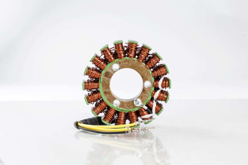 Rick's Motorsport Electric 21-W101 Ricks Motorsport OEM Style PWC Stator - User 1