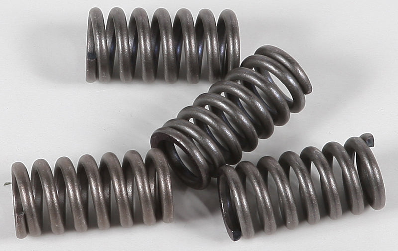 Ebc Clutch Springs - CSK12 Suzuki 1100F Katana / 750 / 1100G 1988-1993