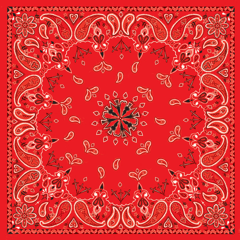 Zan Headgear Bandanna