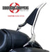 Excalibur Detachable Sissybar / Backrest
