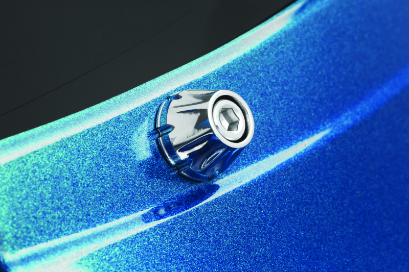 Kuryakyn 5721 Windshield Screws Fltr Chrome - User 1