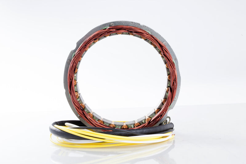 Rick's Motorsport Electric 27-21100 21-100 STATOR