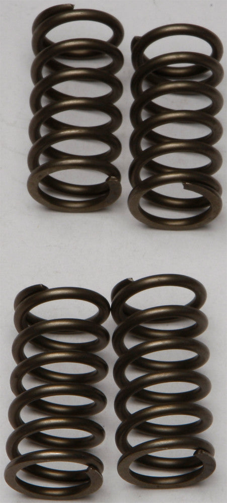 Ebc Clutch Springs - CSK142 Kawasaki Ninja 250R / 140 2008-2018