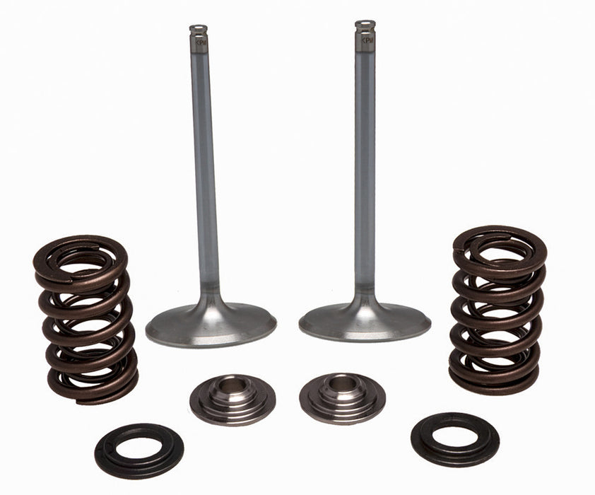 Kpmi 191-41008 30-32780 SS INTAKE VALVE/SPRING KIT