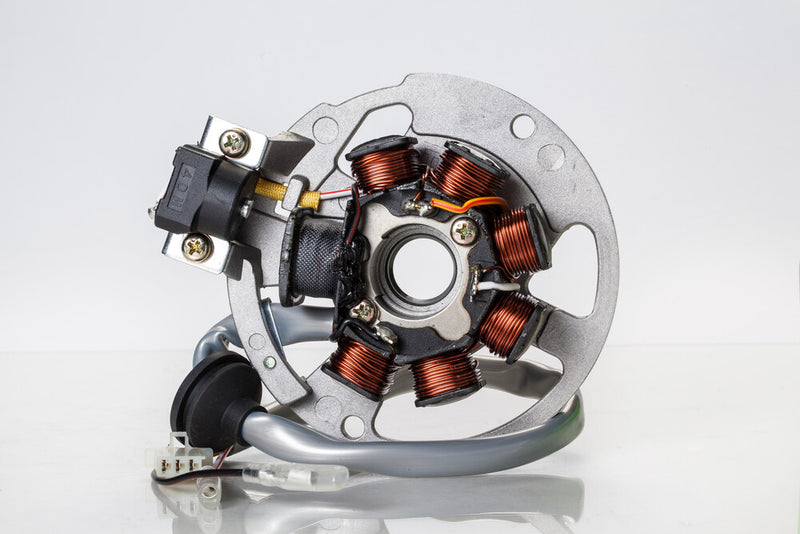 Rick's Motorsport Electric Stator - 21-550 Polaris Scrambler / Sportsman / Predator 2001-2006