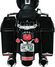 Kuryakyn 3157 Curved License Plate Mount Chrome - User 1