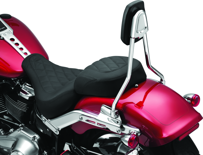 Kuryakyn 6587 Sissy Bar For 18-23 Softail Chrome - User 1