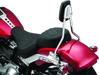 Kuryakyn 6587 Sissy Bar For 18-23 Softail Chrome - User 1