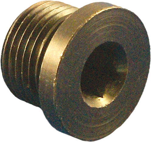 Daytona Twin Tec Llc 132-7063 115002 HEX PLUG FOR O2 WELD NUT REPLACEMENT PART
