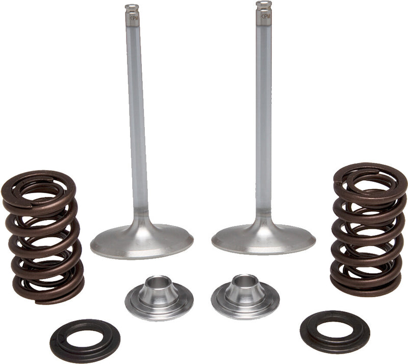 Kpmi Intake Valve Spring Kit - 40-40350 Kawasaki KX 250 2004-2016