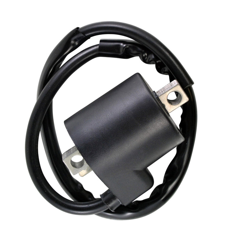 Rm Stator 97-0057 RM06035 EXTERNAL IGNITION COIL