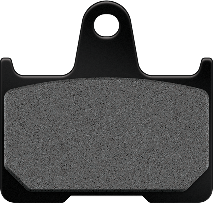 Harddrive HD640HH HD Brake PAD Sintered Repl OE 41300004 For Harley Sportster 2014-2022