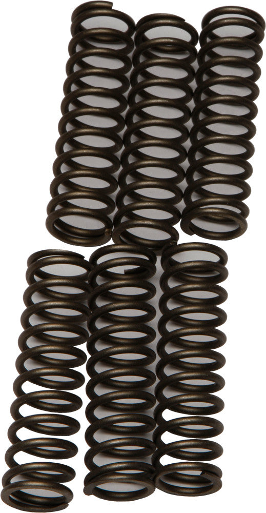 Ebc 15-17109 CSK109 Redline Clutch Springs - SpazCycle