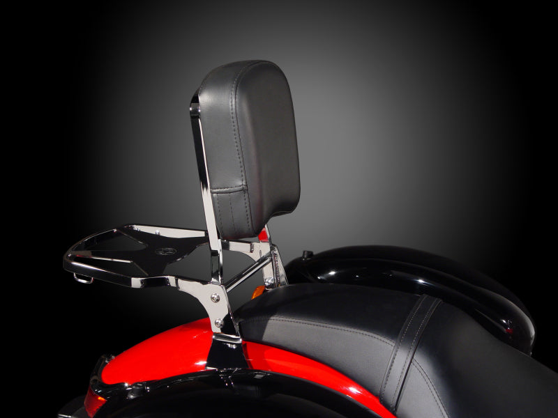 National Cycle P9800A 97+ Hon/ 16+ Indian/ 05-23 Kaw/ 01+ Suz/98-15 Yam Paladin Backrest W/pad - User 1